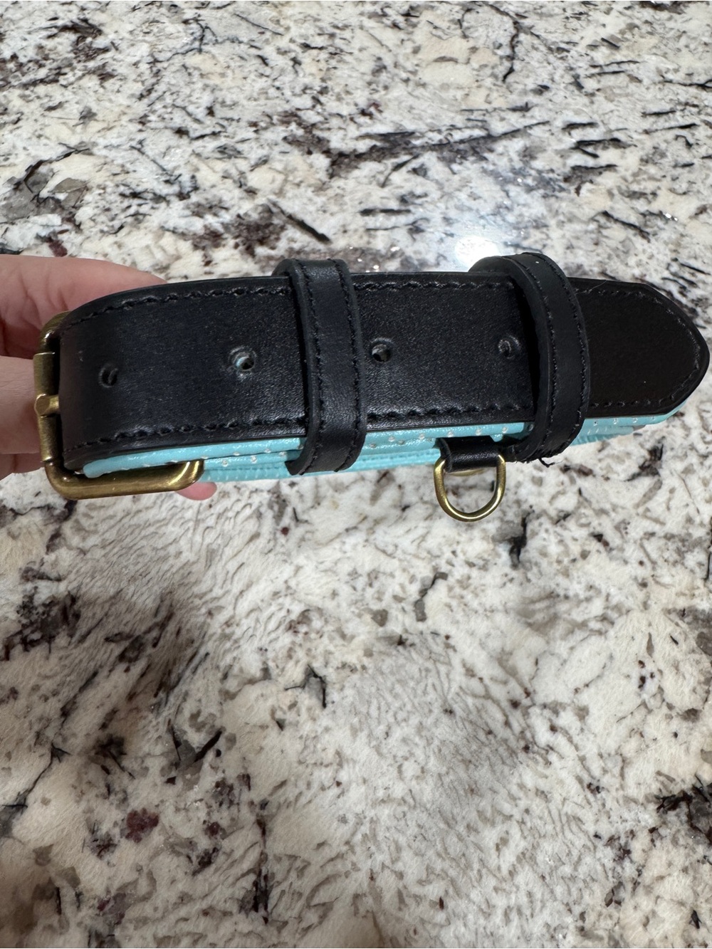 Black Genuine Leather XL Dog Collar with Rust Proof Hardware